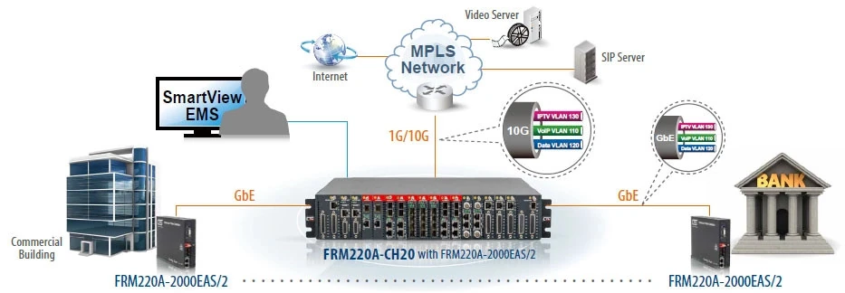 iAccess VLAN & QoS